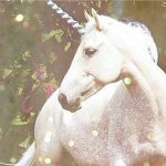 Unicorns don't exist