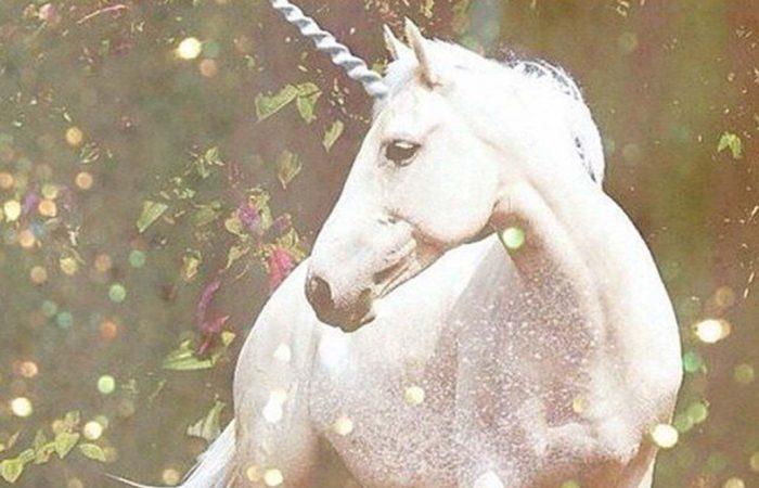 Unicorns don't exist