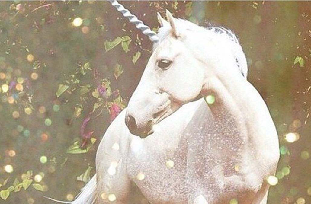 Unicorns don't exist